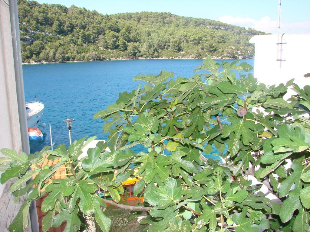 Sea House Mljet Hotel Polače Стая снимка